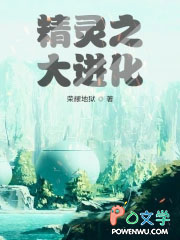 精灵之大进化