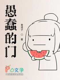 愚蠢的门