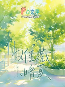 难藏暗夏