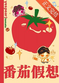 番茄假想